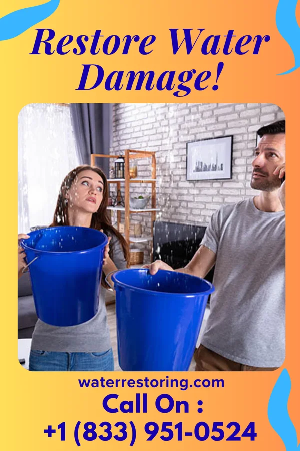 water restoration Pro Water Damage Terlingua